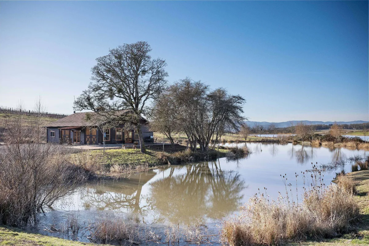 This scenic exterior image captures the Lakehouse nestled beside a tranquil pond, framed by lush trees and the vineyard stretching into the background. The house sits at the water’s edge, suggesting serenity and seclusion, while the natural surroundings evoke a sense of peaceful escape.