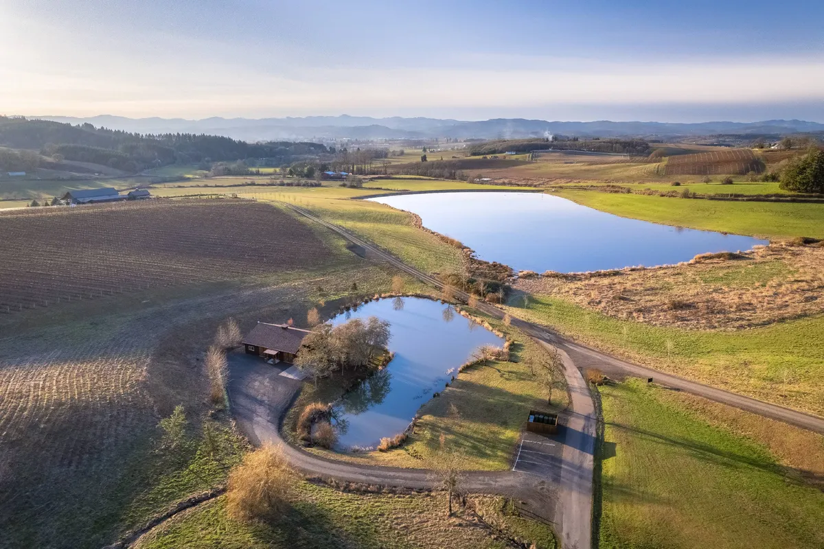 This image captures a sweeping view of the serene pond, the winding road, distant mountains, and expanses of vineyard fields. The tranquil setting suggests an ideal location for fishing, picnicking, and nature walks, while the landscape transitions beautifully through the seasons.