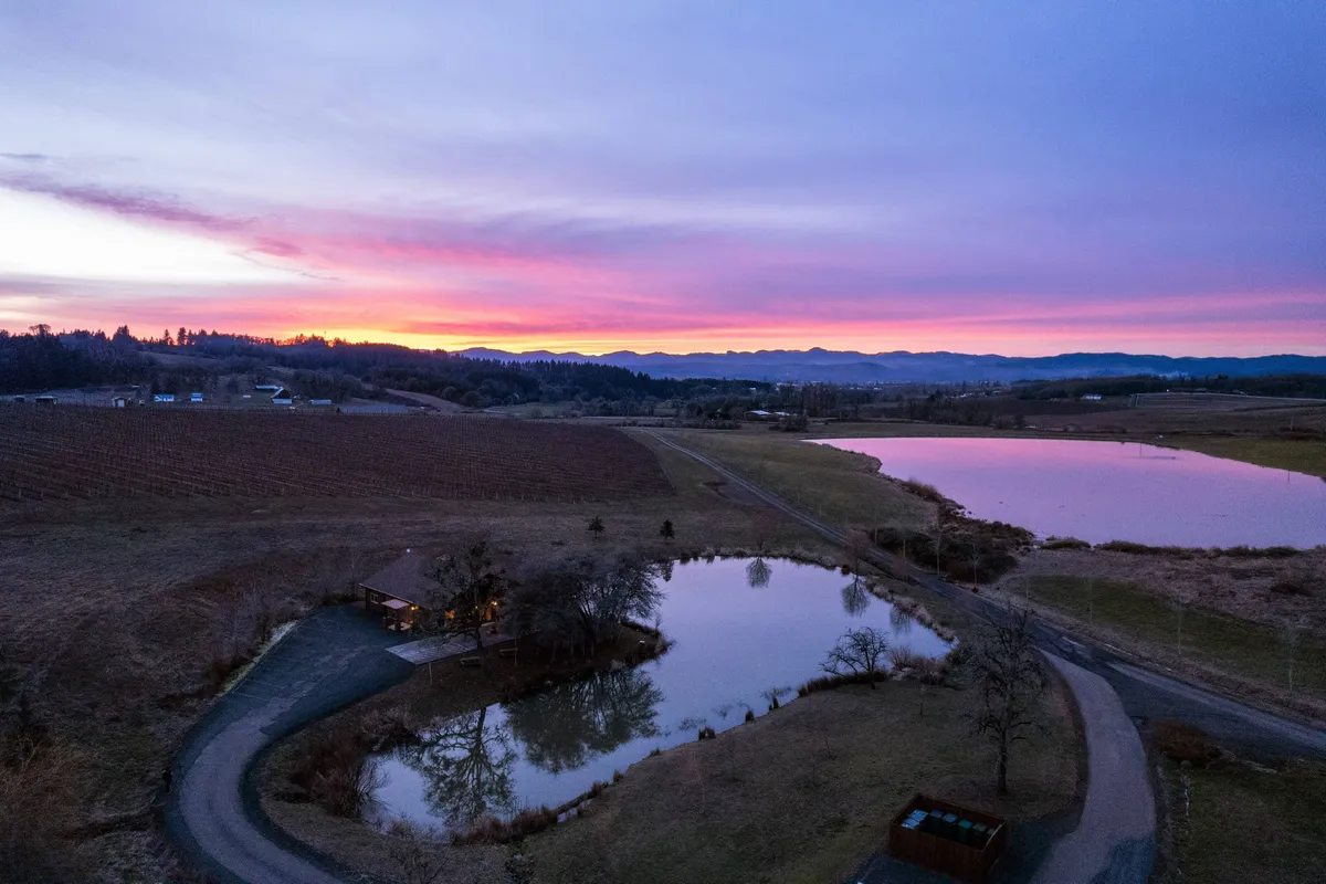 A breathtaking view of the sunset sky reflecting on the pond, with vineyard rows unfolding in the distance. A small building by the water enhances the sense of intimacy and offers a glimpse of the picturesque landscape for sunset-watching and peaceful walks.