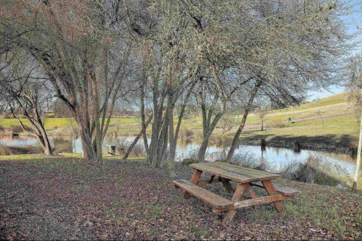 A charming outdoor picnic table set beneath leafy trees, overlooking calm water and an open landscape. The setup is ideal for peaceful picnics, quiet conversation, and intimate moments in nature.